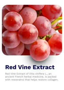 Pilgrim's Red Vine Face Cream